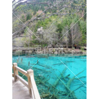 九賽溝の五花海(5)の写真