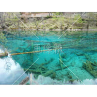 九賽溝の五花海(7)の写真