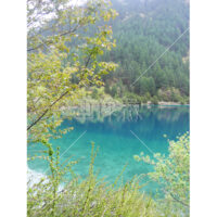 中国・チベット・九賽溝・世界遺産～五彩池のほとり写真素材