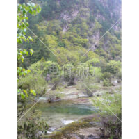 中国・チベット・九賽溝・世界遺産～草木と水のある風景写真素材(1)