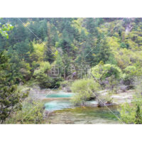 中国・チベット・九賽溝・世界遺産～草木と水のある風景写真素材(2)