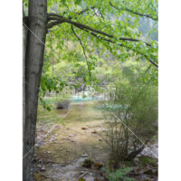 中国・チベット・九賽溝・世界遺産～草木と水のある風景写真素材(3)