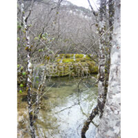 九賽溝の川の(1)写真