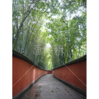 赤い壁に挟まった写真