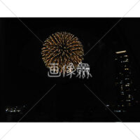 花火の(64)無料写真