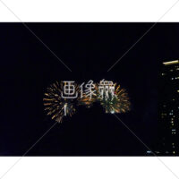 花火の(3)無料写真