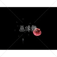 花火の(8)無料写真