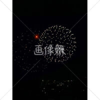 花火の(14)無料写真