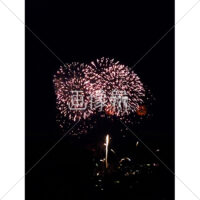 花火の(19)無料写真