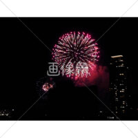 花火の(29)無料写真