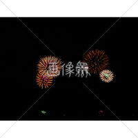 花火の(36)無料写真
