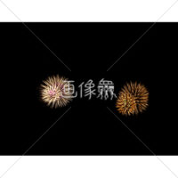 花火の(37)無料写真