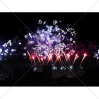 花火の(41)無料写真