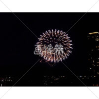 花火の(50)無料写真