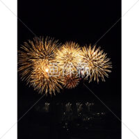 花火の(62)無料写真