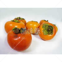 柿の(1)写真
