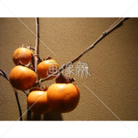 柿の(2)写真