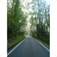 緑が茂る山道の写真