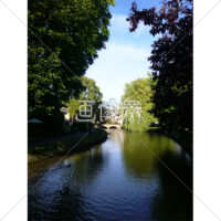 木漏れ日のきれいな川の写真