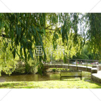 イギリスの小川の風景写真素材(1)