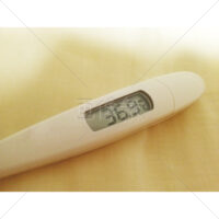 微熱を示す体温計の写真素材