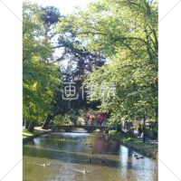 イギリスの小川の風景写真素材(3)