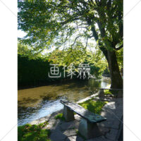 イギリスの小川の風景写真素材(6)