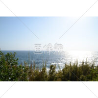 快晴の海岸の写真素材(3)