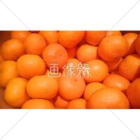 食べきれないほどたくさんのミカンの写真(1)