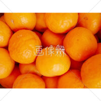 食べきれないほどたくさんのミカンの写真(3)