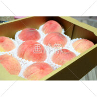 ダンボールに入ったまるい桃の写真(1)