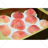 ダンボールに入ったまるい桃の写真(2)