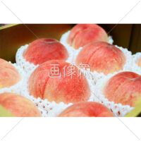 ダンボールに入ったまるい桃の写真(3)