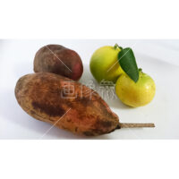 めずらしい茶色いあけびの写真素材