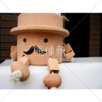 かわいらしい植木鉢の写真