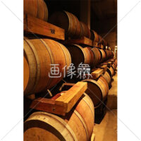 ワイナリーの写真素材(1)