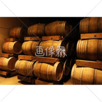 ワイナリーの写真素材(2)