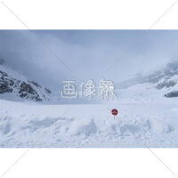 雪原の写真(8)