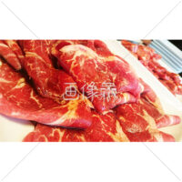 盛り付けのきれいなカルビの写真