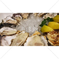 とろけそうな生牡蠣の写真素材
