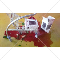 箱の底が抜けて割れたワインの無料写真素材