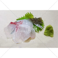 綺麗に透ける鯛のお刺身の写真素材