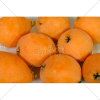 ふっくらした果実のビワの写真素材