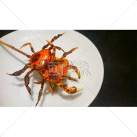 串に刺さったカニの炭火焼の写真素材