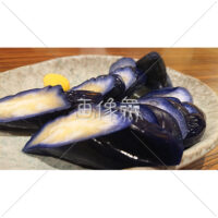 ナスの浅漬けの写真素材