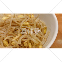 もやしのナムルの無料写真素材