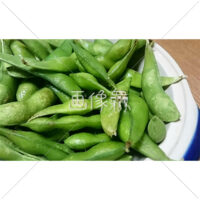 えだまめの写真素材