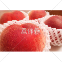 ツヤツヤした桃の写真素材