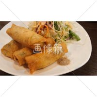 はるまきの写真素材