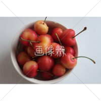 さくらんぼの写真素材